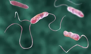 Công nhân Bắc Giang nhập viện do vi khuẩn E.coli và tụ cầu vàng
